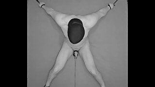 experiment: testicles electro stimulation