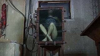 Locked in the glass box spoiled hoe Elise Graves goes under BDSM test