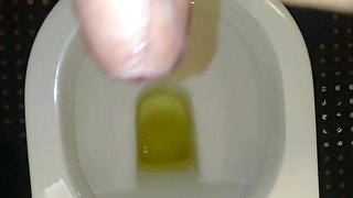 Masturbating and cumming in airport toilet after peeing