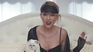 blank space (taylor swift / blonde PMV)