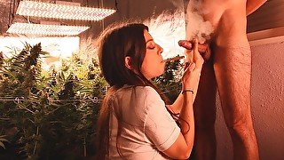 420 Blowjob by the Jungle trailer - Big FACIAL Missjunngle