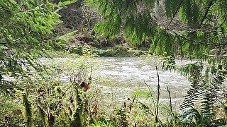 Relax and meditate by the river. Constant calming background noise.