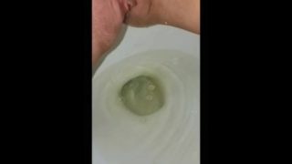 Peeing compilation. 