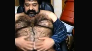 Big hairy bear and hairy body