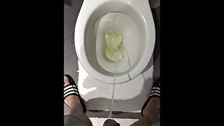 Toilet piss