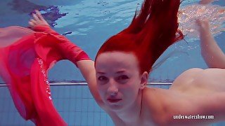 Redhead in the pool