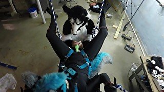 FEMALE MURRSUITER GETS FUCKED HARD