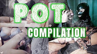 Happy 420 🌱 Enjoy this POT Compilation 😁