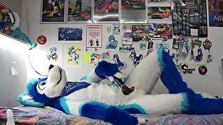 Fursuit sex 88