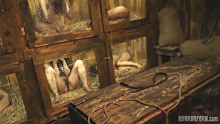 HORRORPORN - Rabbit hutch