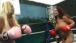 Busty Boxing