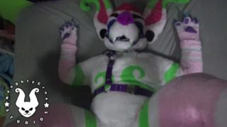 MURRSUIT: POV, Missionary, Doggy style, moaning