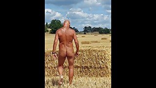 Autum in Germany - horny on the fields