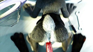 Judy Got Stuck And Fucked From Behind By A Red Cock