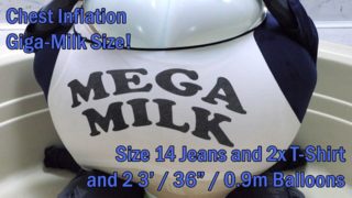 WWM - Mega Milk Giga Inflation