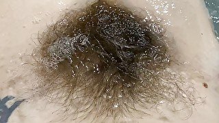 Hairy bush underwater