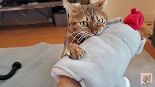 Playing with a furry pussy and a stuffed animal .... Intense play