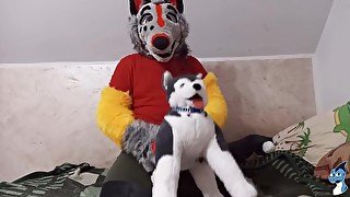 🐺Dog and Freddy Wolf Fun#1🐺