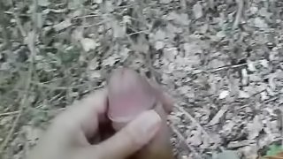 Guy Masturbating In a park