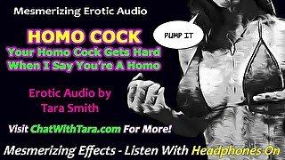 Your Homo Cock Gets Hard When I Call You A Homo Fetish Erotic Audio Mesmerizing Femdom Sissy Train