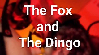 The Fox and The Dingo