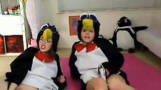 Teen penguins on cam