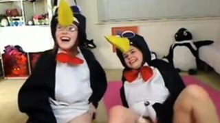 Teen penguins on cam