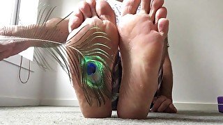 Peacock feather is such a pretty bird feather for tickling my feet