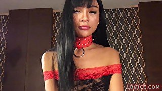 Teen Ladyboy Sakura Sucks Dick and Fucked