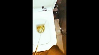 Peeing with a creampie camera inside the toilet bowl