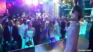 Horny brunette bride eats a big cock in public