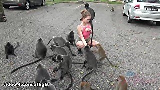 Jill Meets The Monkey And Has A Great Day Out - ATKGirlfriends