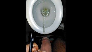 Pissing everywhere