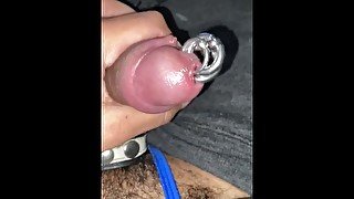 Stroking my pierced cock with 3 piercings. 2 4mm and 1 2mm piercings.