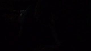 Cheating pastor’s wife sucking my big cock on camera in the dark! Smh!