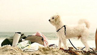 Asian boy Tyler Wu fucked bareback by Dakota Payne at Venice beach