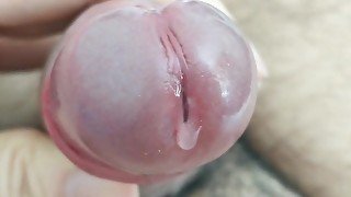 Close up cumming cock