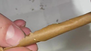 How to roll a blunt for beginners