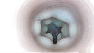 Fleshlight Internal View Cumshot Compilation