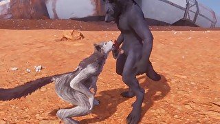 Wild Life / Furry Porn With Wolf Creampie