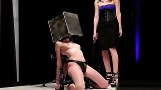 Bdsm Babe With Head In Steel Box Spaked