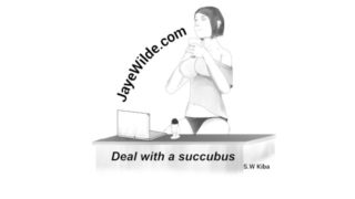 Deal with a Succubus