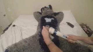 Fursuiter Teased by Wand Cums Hard