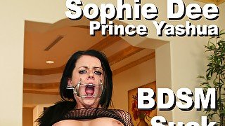 Sophie Dee & Prince Yashua BDSM Suck Fuck Anal A2M Facial