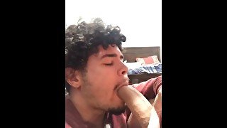 Latino monster cock gets sucked by roommate