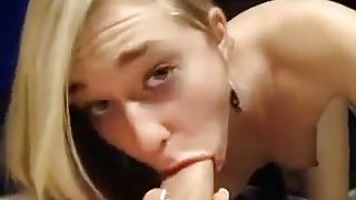 Blondi is stretched in the chat section. 2