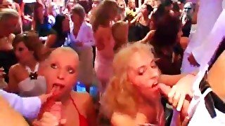 Horny girls convinced to suck cock at party