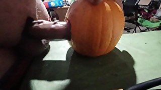 Pumpkin Fucking, Solo Male Fucks Pumpkin Until He Cums With Throbbing Cock