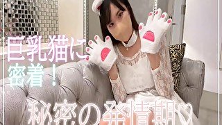 パイパン白猫ちゃんは発情期♡ご主人様がいないときに1人で発散しちゃう…