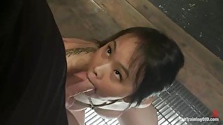 Asian Bondage Slut Sucks White Cock